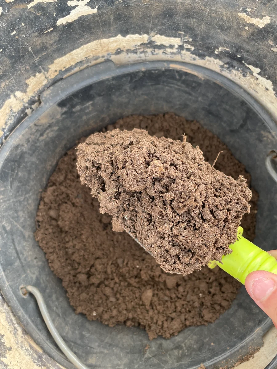 Compost dans un seau, le résultat