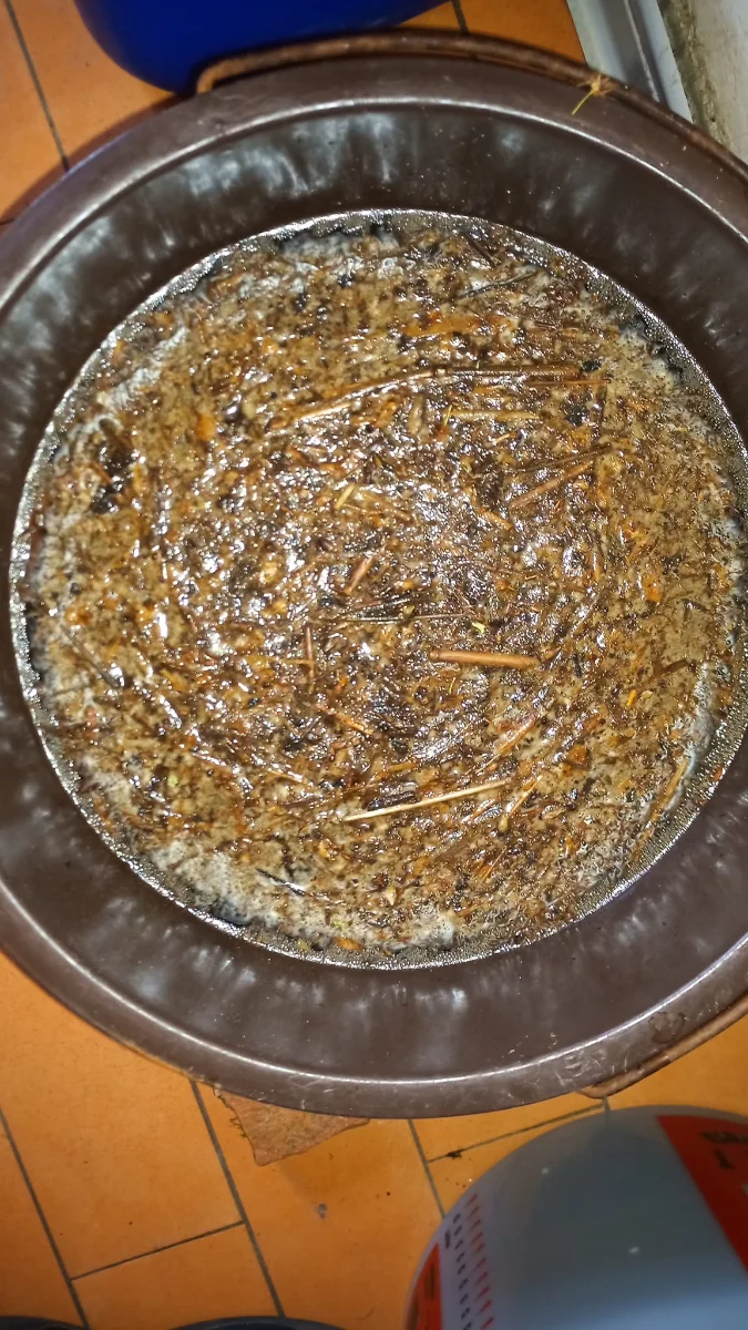 JADAM JMS 12h d'incubation