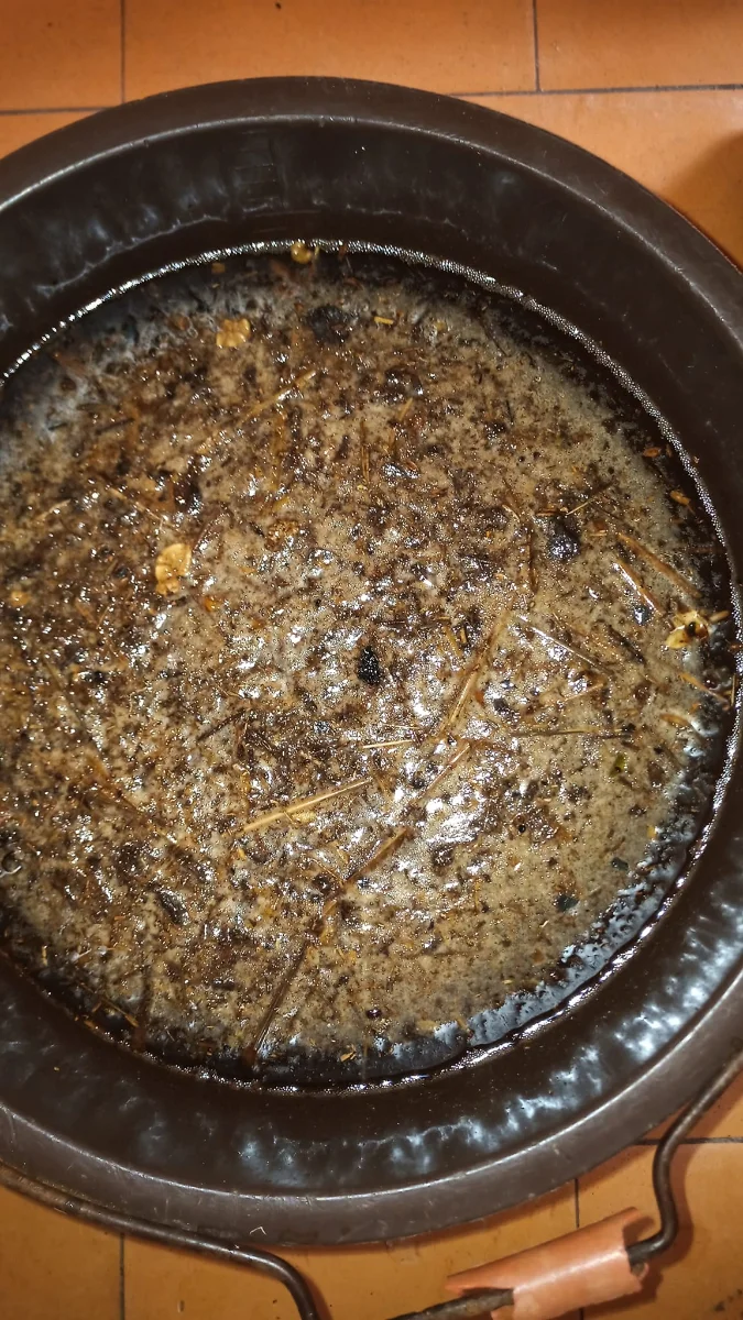 JADAM JMS 24h d'incubation