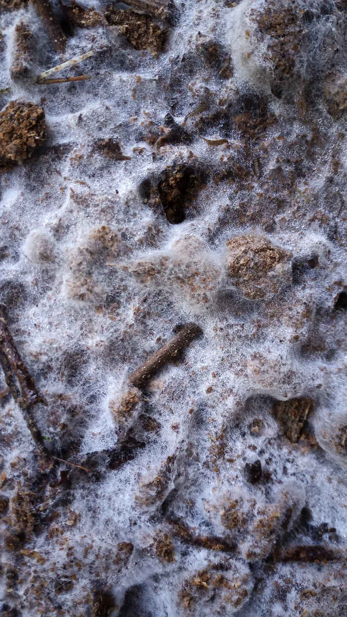 KNF IMO3 (gros plan)