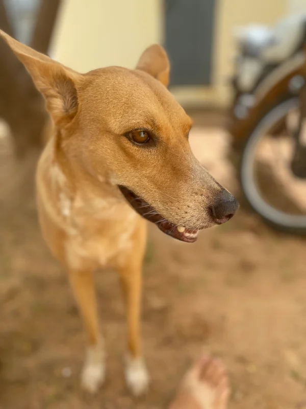 La plus belle... Anti ❤️